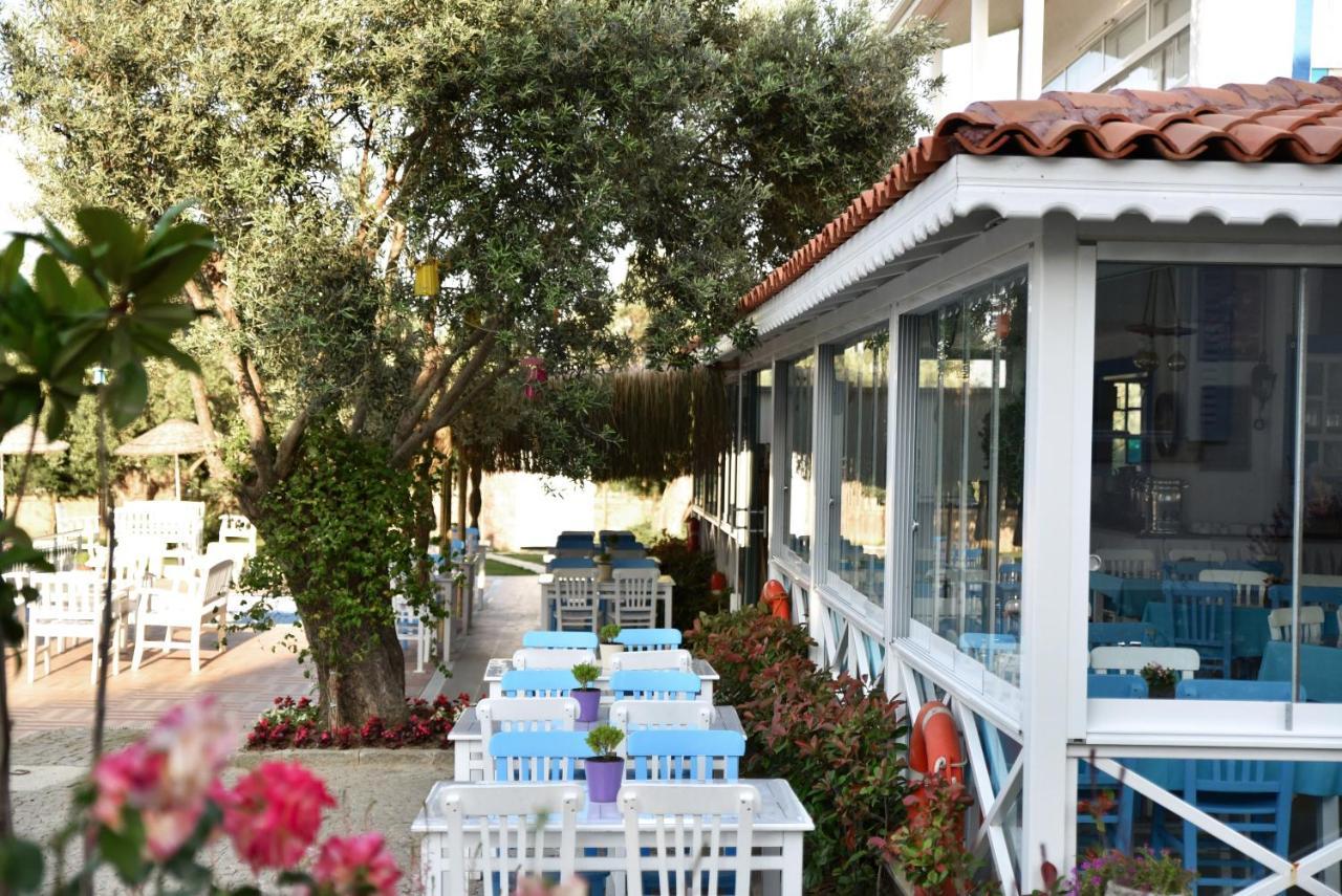 Zeytin Arasi Apart Otel Ayvalı エクステリア 写真