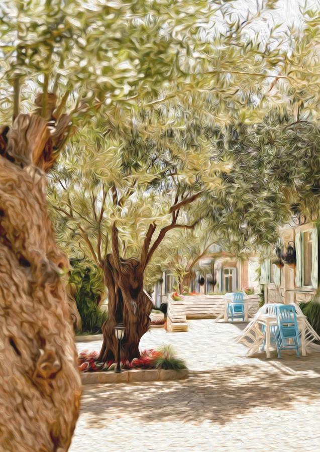 Zeytin Arasi Apart Otel Ayvalı エクステリア 写真