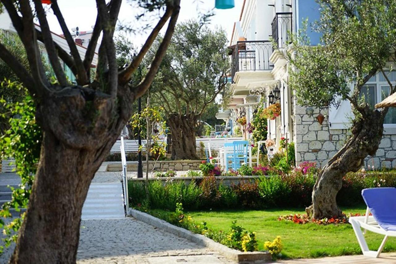 Zeytin Arasi Apart Otel Ayvalı エクステリア 写真
