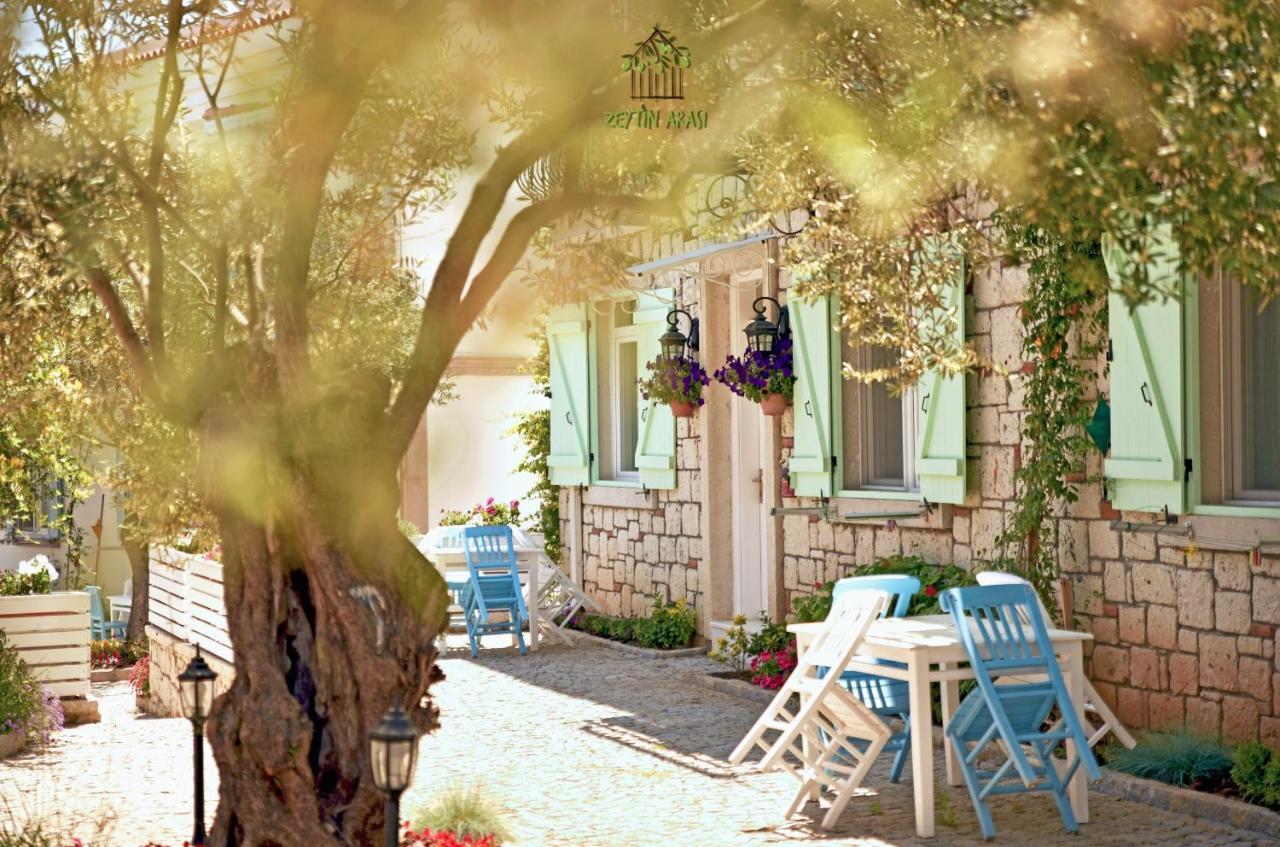 Zeytin Arasi Apart Otel Ayvalı エクステリア 写真