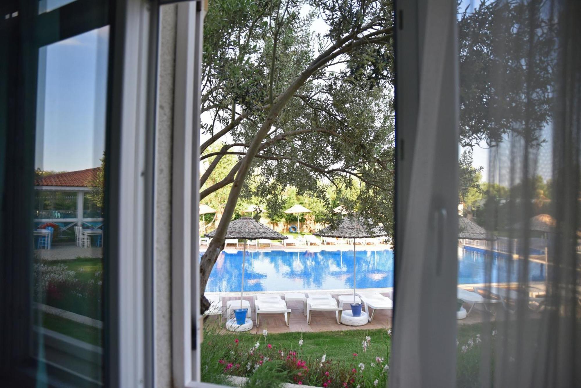 Zeytin Arasi Apart Otel Ayvalı 部屋 写真