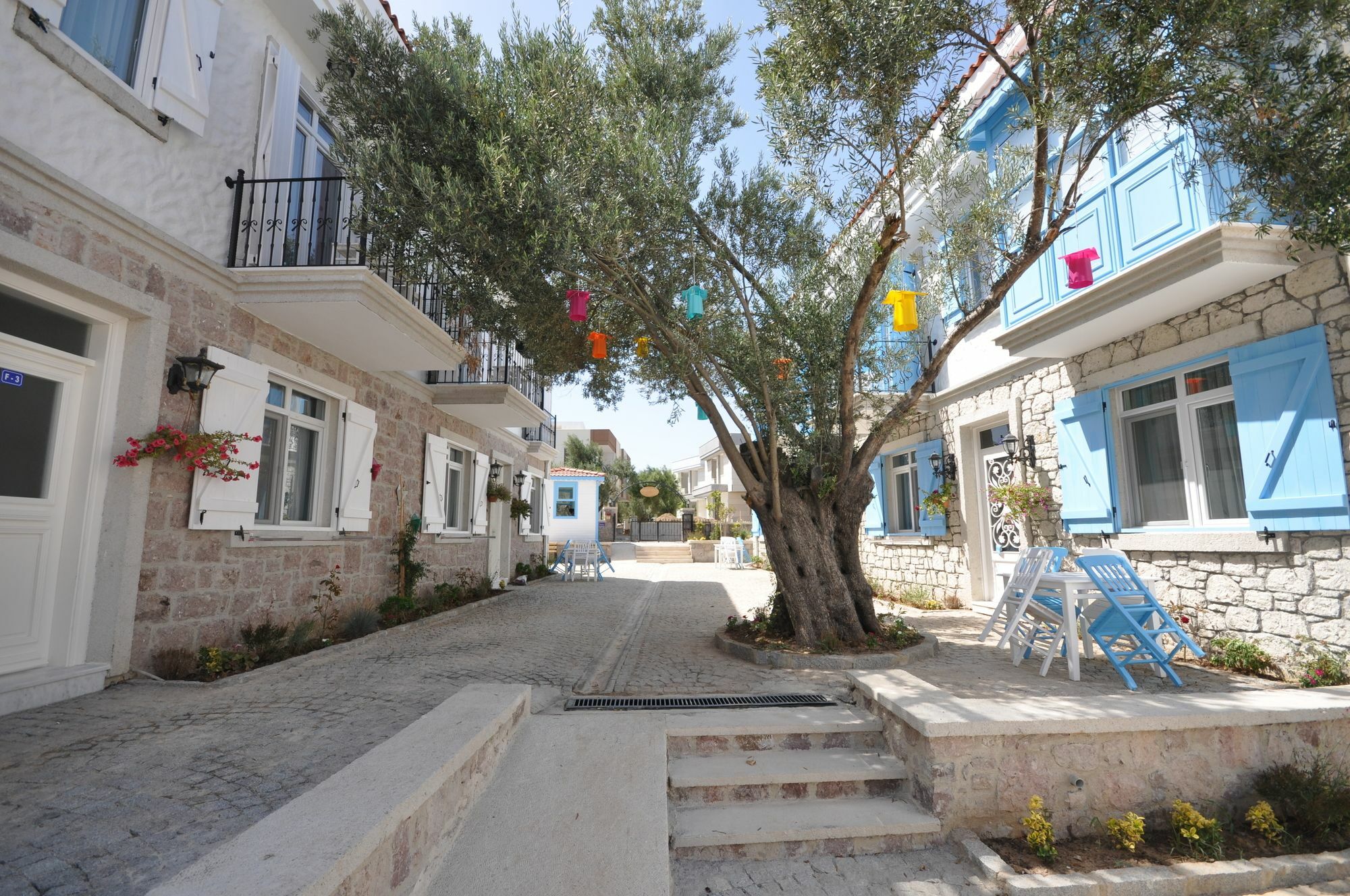 Zeytin Arasi Apart Otel Ayvalı エクステリア 写真