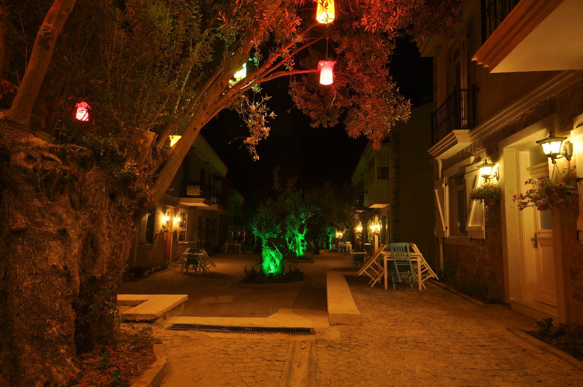 Zeytin Arasi Apart Otel Ayvalı エクステリア 写真
